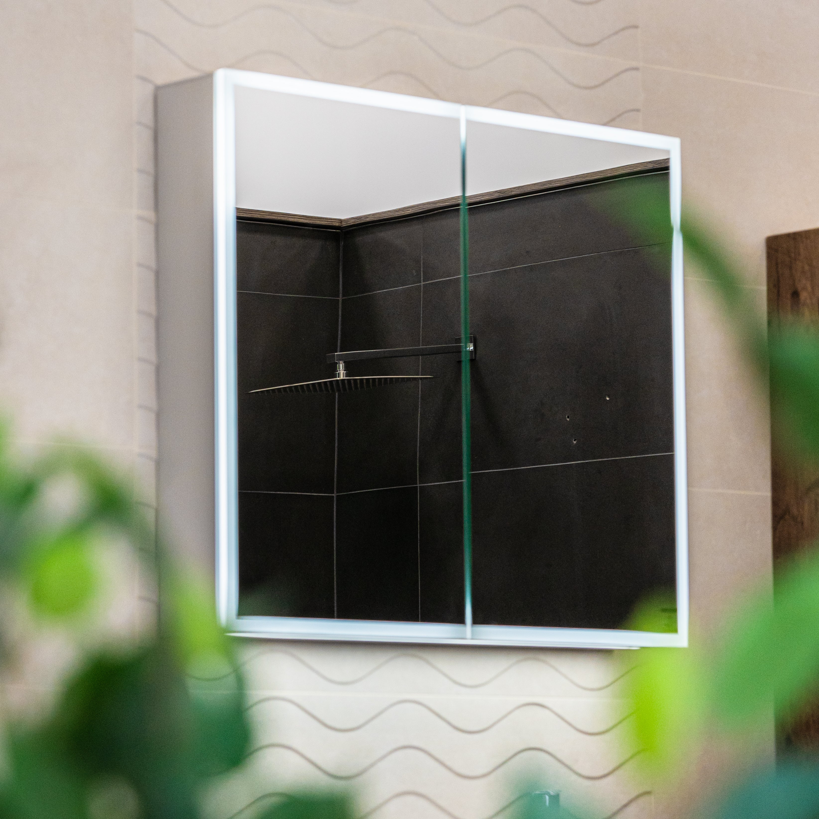 All Mirrored Cabinets