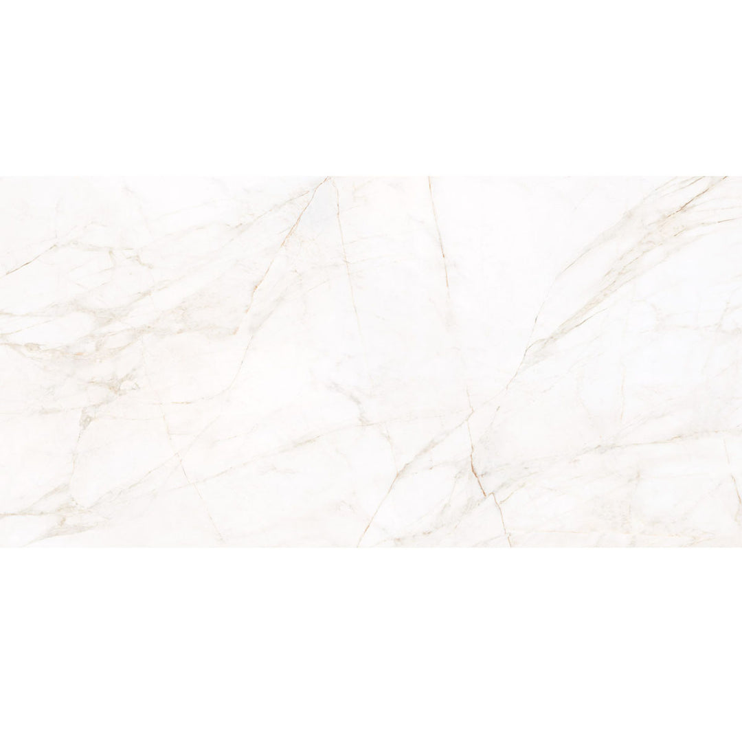 Marble Dolomita Polished 60 x 120cm Rectified Porcelain Floor Tile - 1.44 sqm perbox