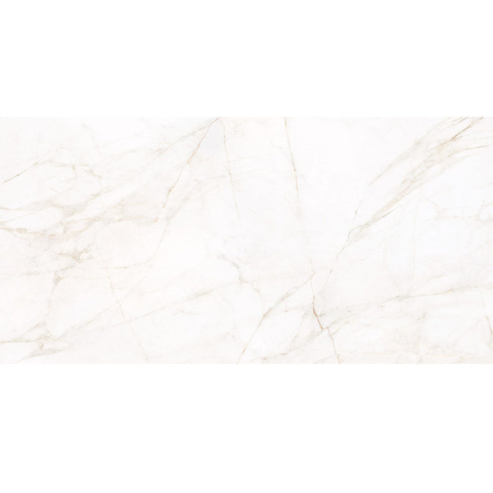 Marble Dolomita Polished 60 x 120cm Rectified Porcelain Floor Tile - 1.44 sqm perbox