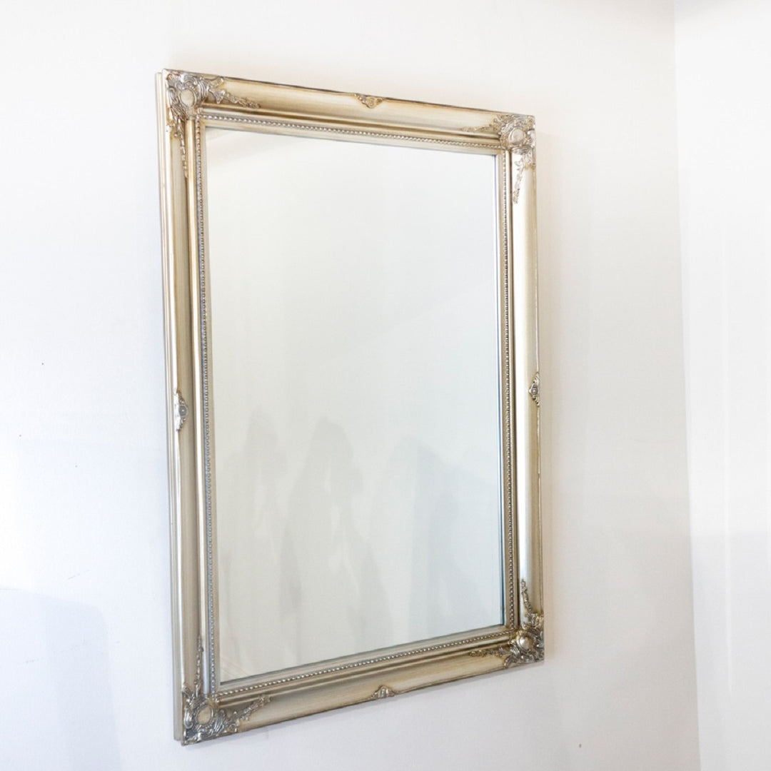 Lyon Mirror 60 x 90cm Champagne