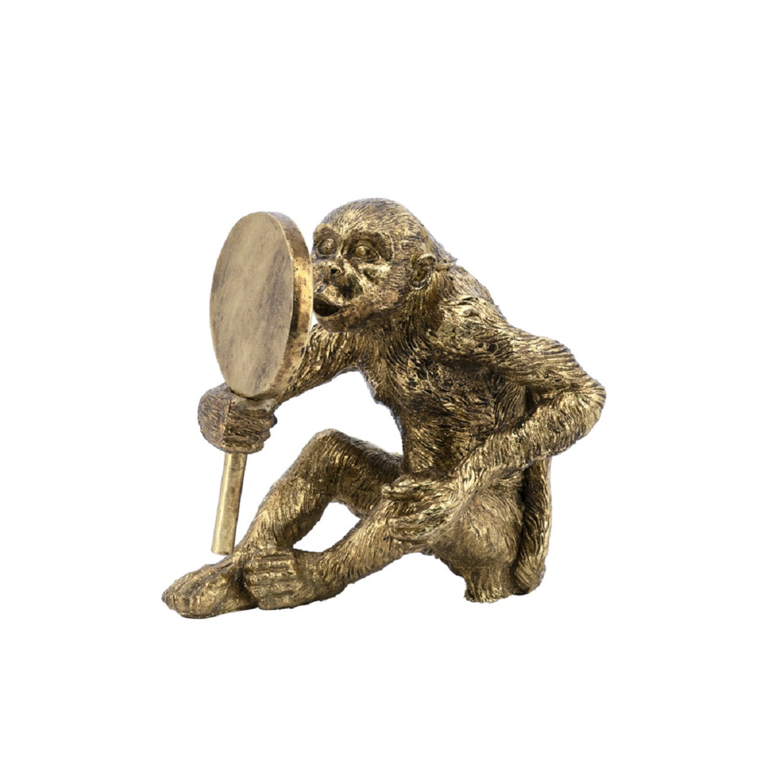 Monkey With Mirror