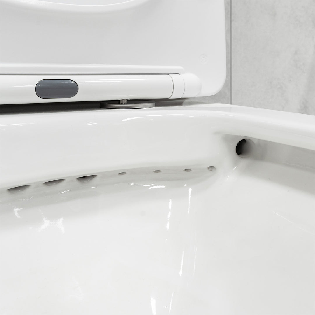 Arc Rimless Fully Back to Wall Toilet &amp; Soft Close Seat