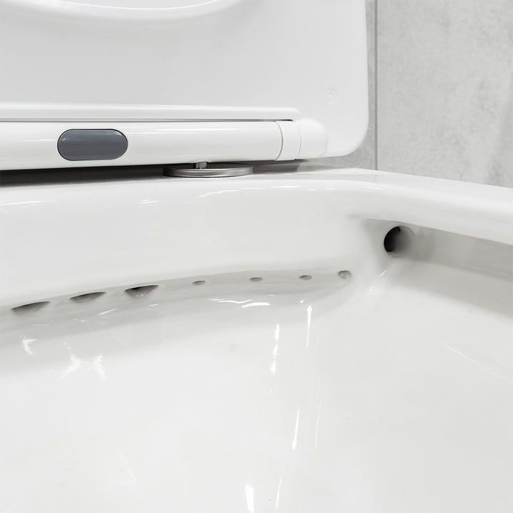 Arc Rimless Fully Back to Wall Toilet &amp; Soft Close Seat