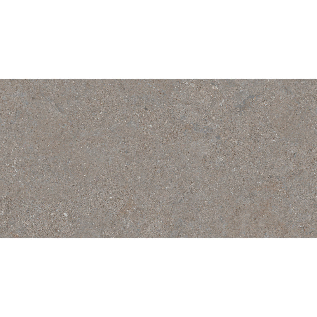 Celta Gris 60 x 120 Rectified Porcelain Tile - 1.44sqm perbox