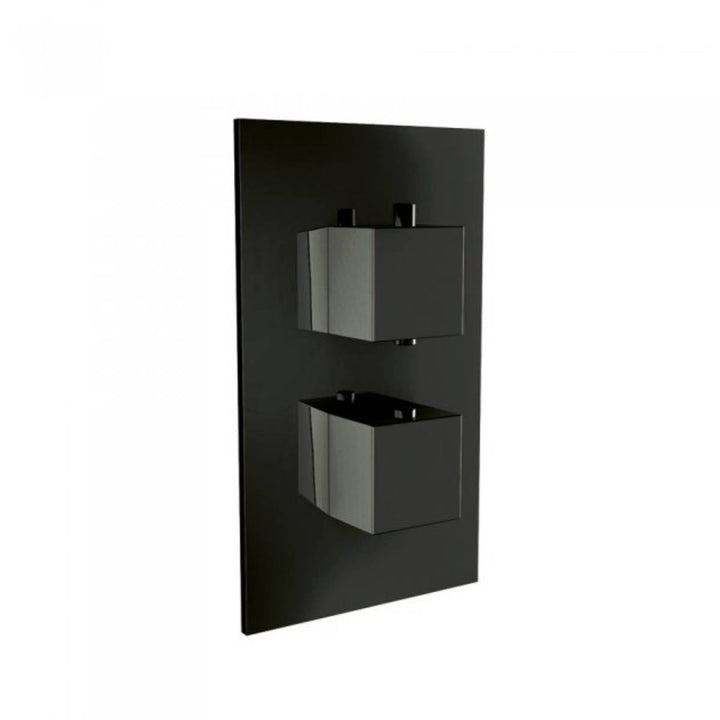 Black Twin Thermostatic Concealed Mixer Shower Kit with Ceiling Mounted 300mm Shower Head