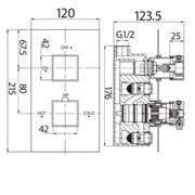 Twin Thermostatic Square Handle Concealed Valve - Black - Technical drawing
