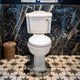 Legend Traditional Close Coupled Open Back Toilet & Standard Seat
