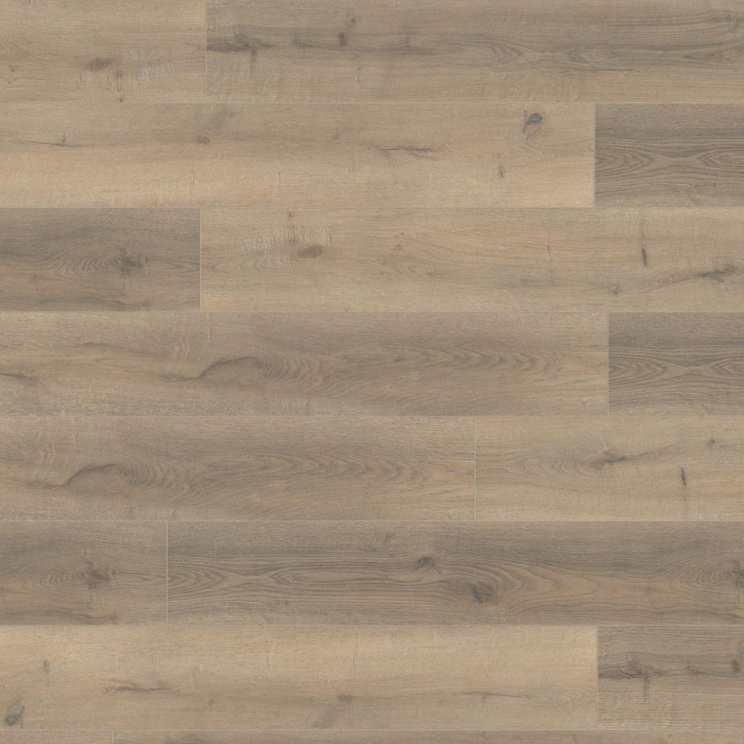 Greige Oak 12mm Laminate Wooden Flooring - 1215 x 196 x 12 mm - 1.43 M2 Per box