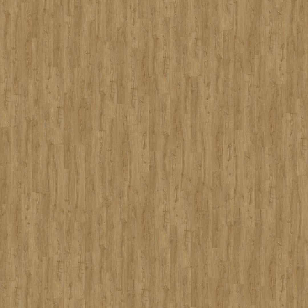 Pergo Laminate Flooring - Visby Manor Oak - 1380mm x 190mm x 8mm - 1.835m2 per pack