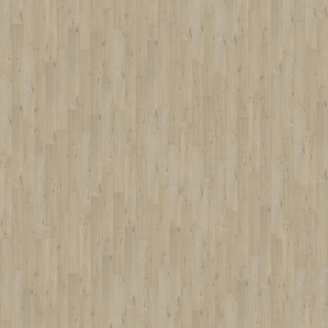 Pergo Laminate Flooring - Visby Coastal Oak - 1380mm x 190mm x 8mm - 1.835m2 per pack