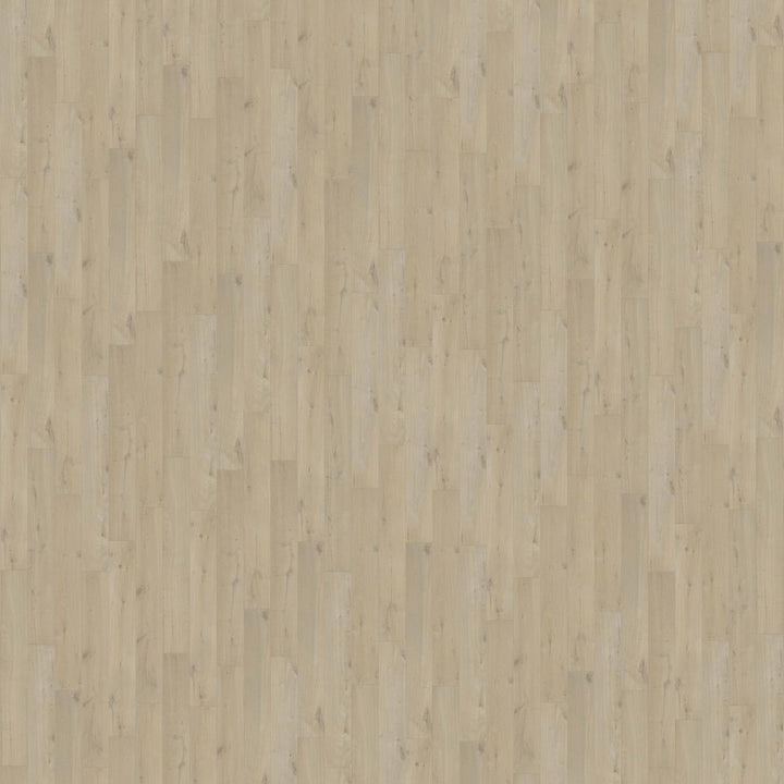 Pergo Laminate Flooring - Visby Coastal Oak - 1380mm x 190mm x 8mm - 1.835m2 per pack