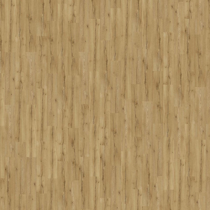 Pergo Laminate Flooring - Stavanger Wildwood Oak - 1380mm x 278.5mm x 8mm - 2.306m2 per pack