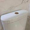 Objekt Ceramica Dual Flush Button - Matt Brass