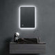 Ariel 500 x 700mm LED Mirror