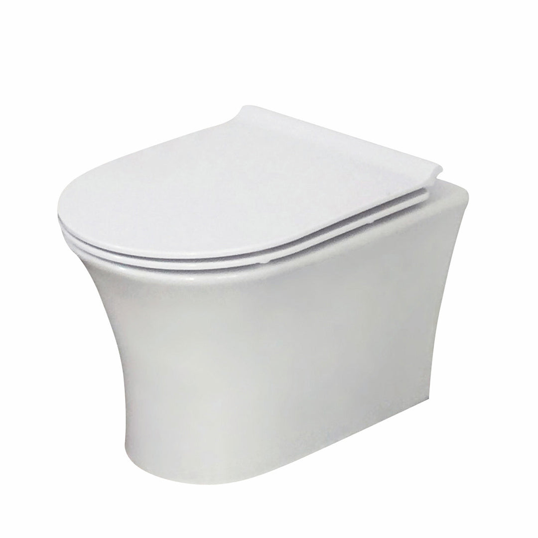 Munich Wall Hung Toilet &amp; SAN85 1.1m Wall Hung WC Frame Deal &amp; Brushed Brass Flush Plate