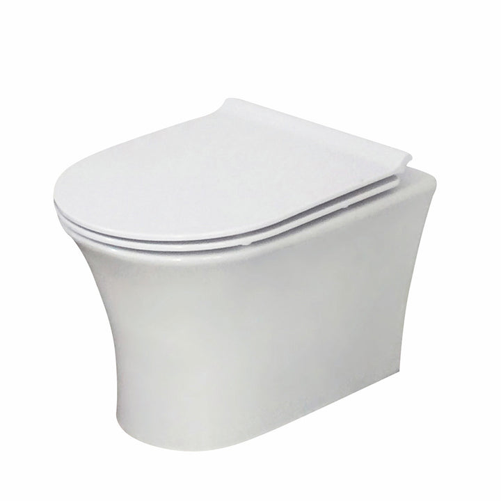 Munich Wall Hung Toilet &amp; SAN85 1.1m Wall Hung WC Frame Deal &amp; Brushed Brass Flush Plate