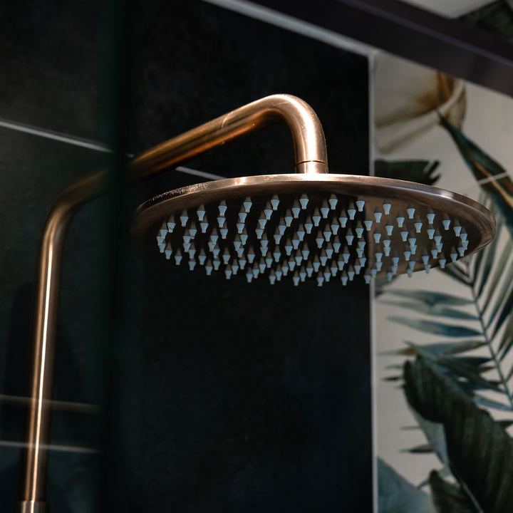 Eliseo Ricci Exclusiv Round Rigid Riser Shower - Brushed Bronze