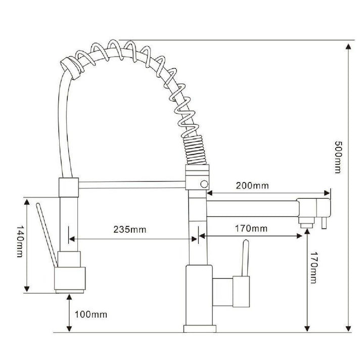 Biella Kitchen Mixer with Swivel Spout &amp; Directional Spray - Chrome