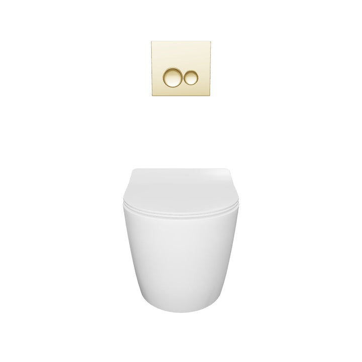 Remo Wall Hung Toilet &amp; SAN85 1.1m Wall Hung WC Frame Deal &amp; Brushed Brass Flush Plate