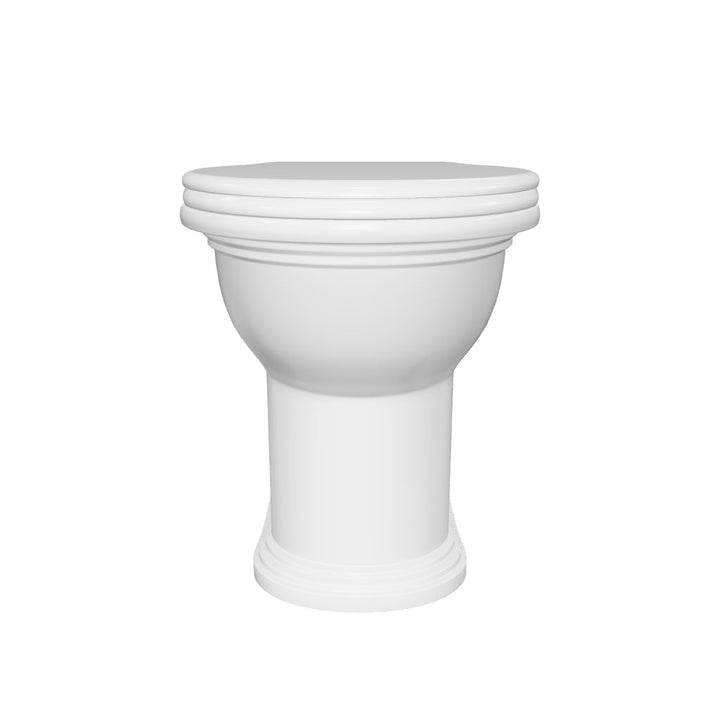 Windsor Rimless Back to Wall Toilet &amp; Soft Close Seat