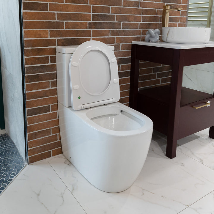 Remo Rimless Fully Back to Wall Pan &amp; Soft Close Seat