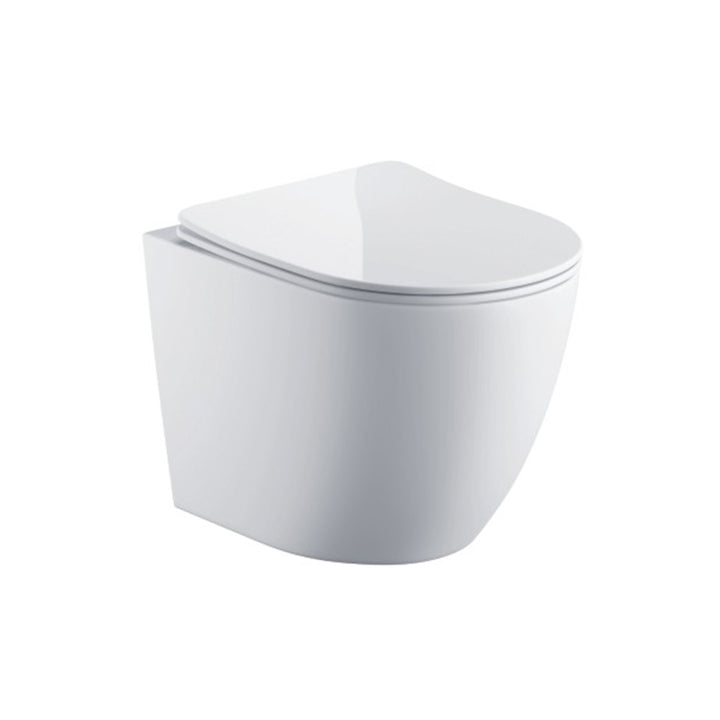 Remo Wall Hung Toilet &amp; SAN85 1.1m Wall Hung WC Frame Deal &amp; Chrome Flush Plate
