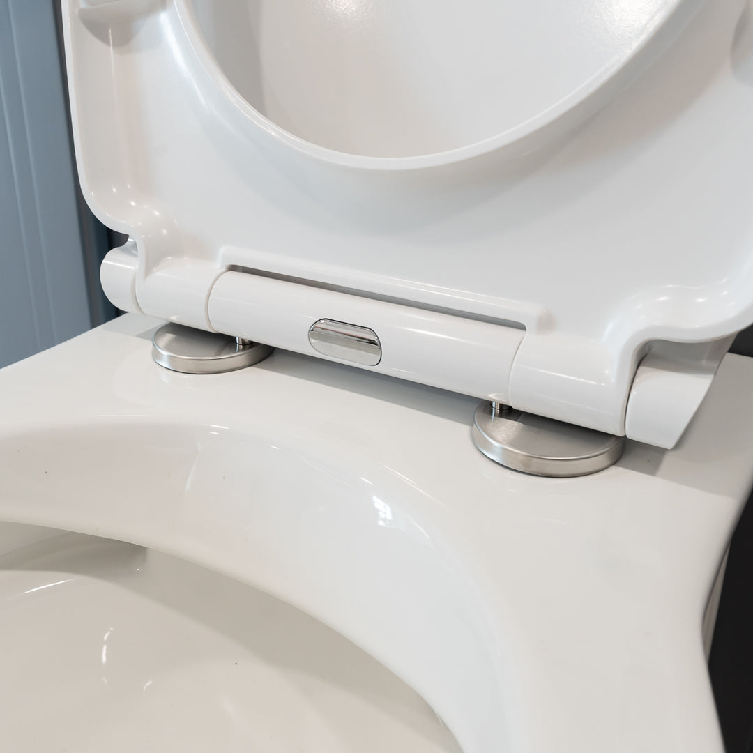 Windsor Rimless Back to Wall Toilet &amp; Soft Close Seat