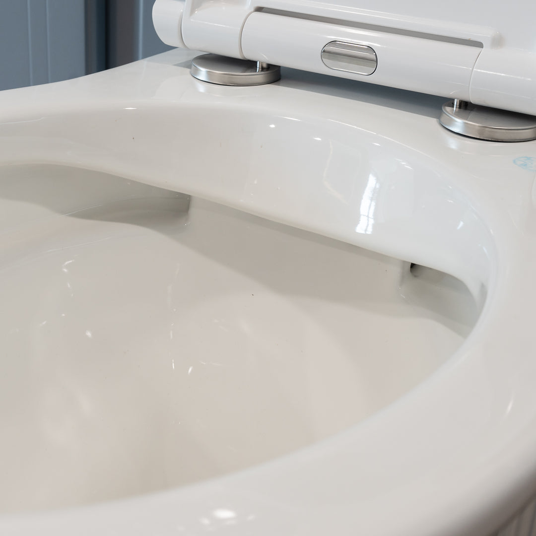 Windsor Rimless Back to Wall Toilet &amp; Soft Close Seat
