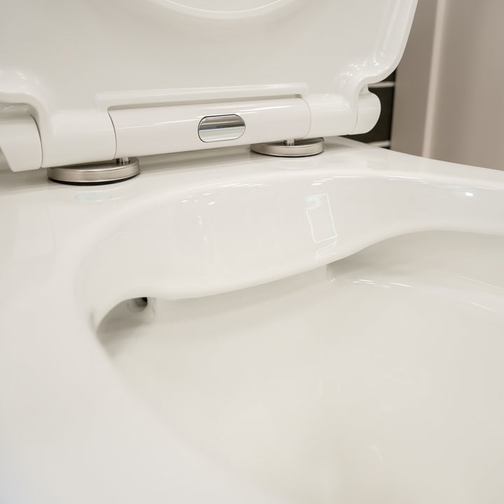 Windsor Rimless Fully Back to Wall Toilet &amp; Soft Close Seat