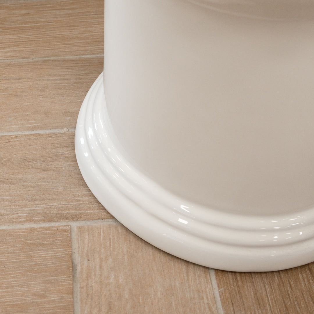 Windsor Rimless Fully Back to Wall Toilet &amp; Soft Close Seat