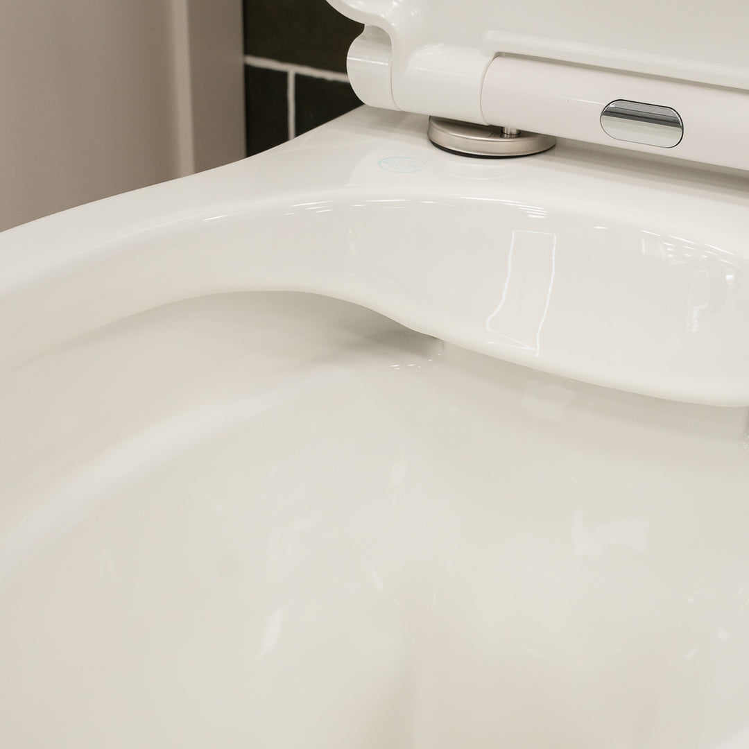 Windsor Rimless Fully Back to Wall Toilet &amp; Soft Close Seat