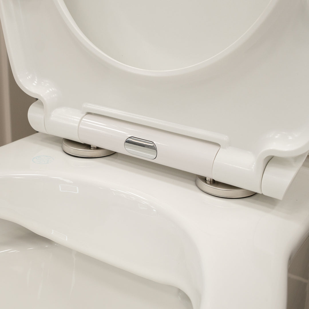 Windsor Rimless Fully Back to Wall Toilet &amp; Soft Close Seat