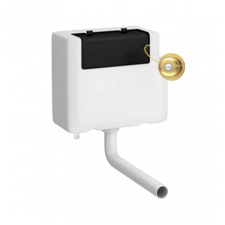 Nuie Universal Access Cistern &amp; Brushed Brass Traditional Flush Plate