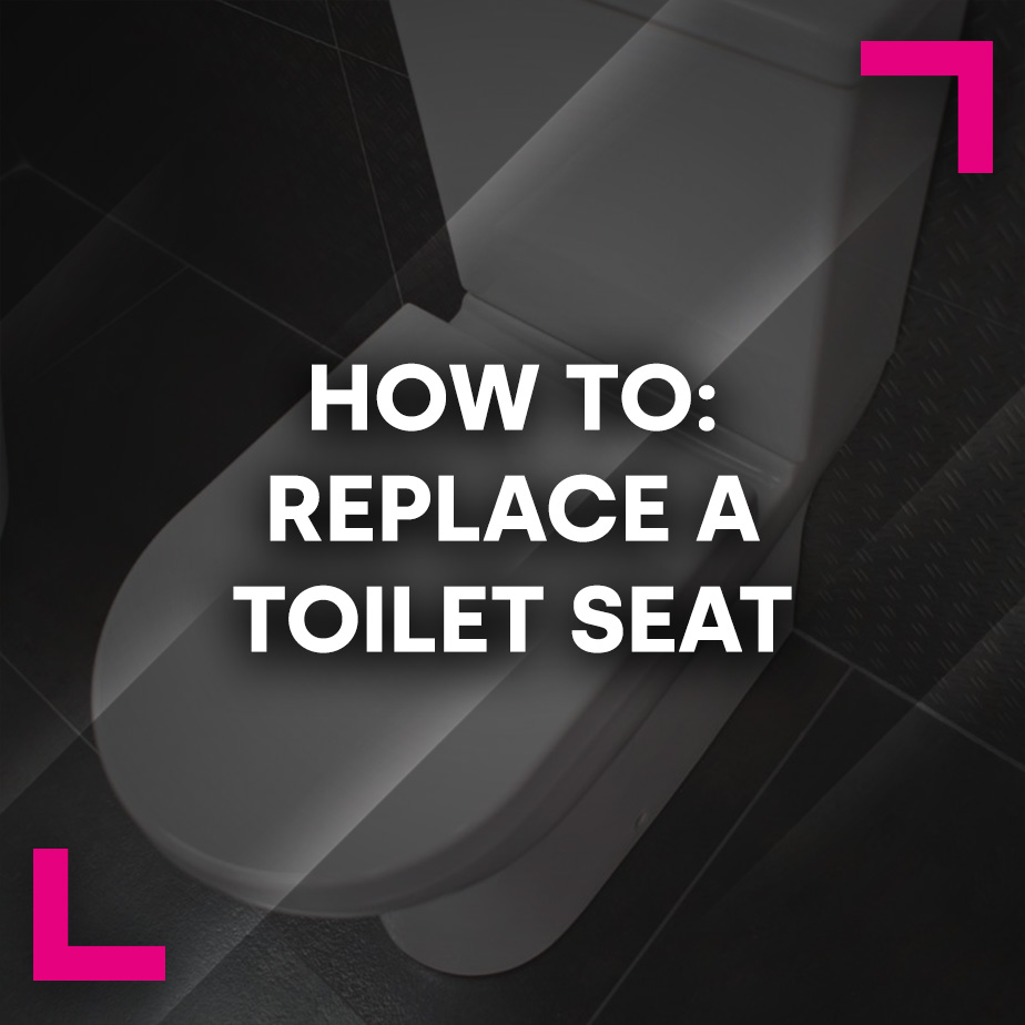 How To: Replace a Toilet Seat