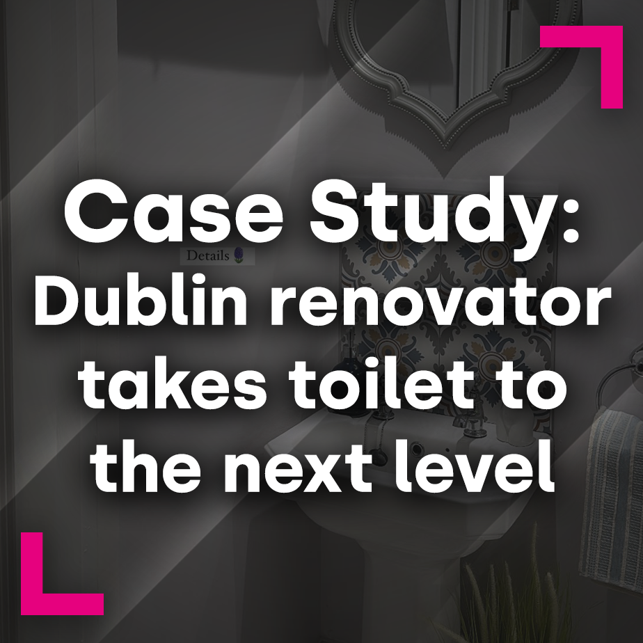 Dublin renovator takes toilet to the next level …