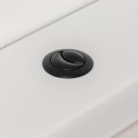 Flush Button