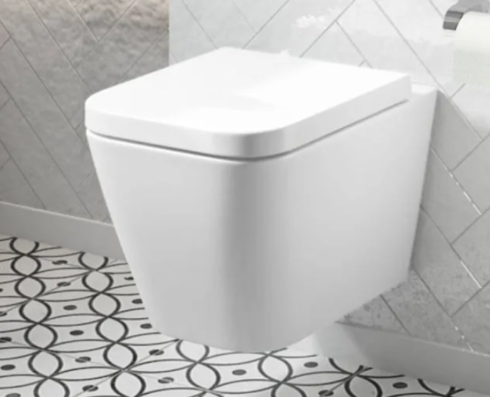Wall hung toilets