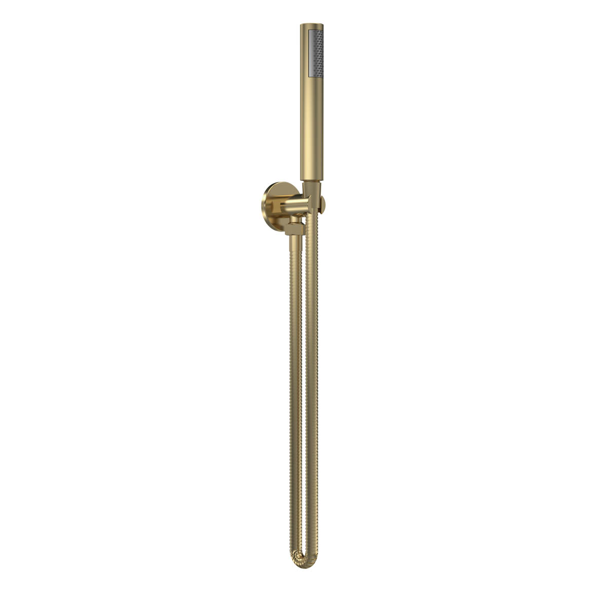 Round Shower Outlet, Hose and Head - Brushed Brass (12573)