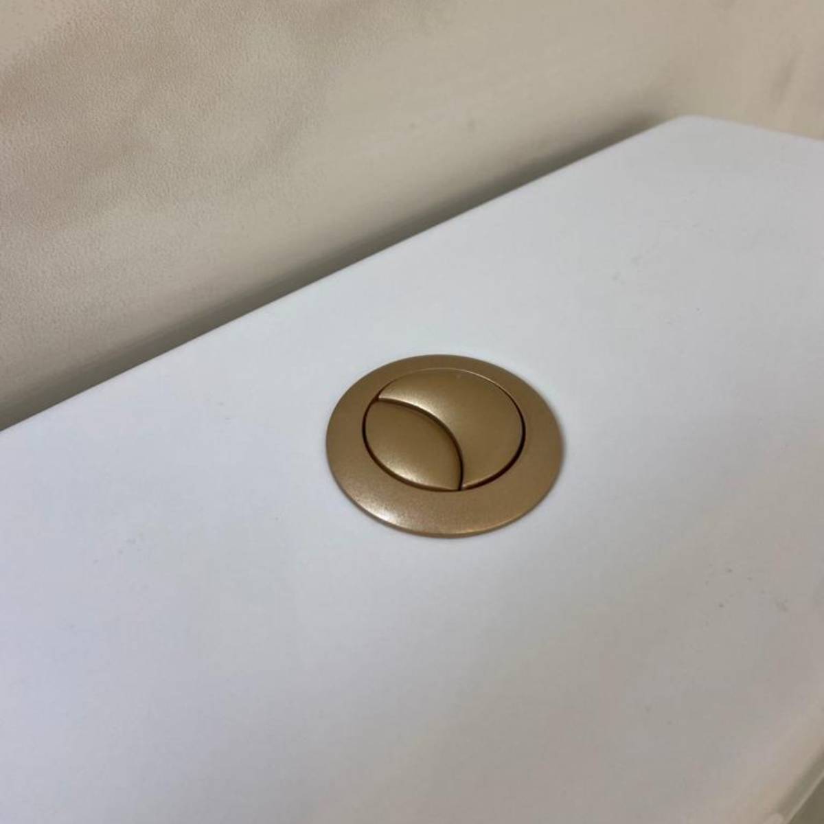 Objekt Ceramica Dual Flush Button - Matt Brass (12109)