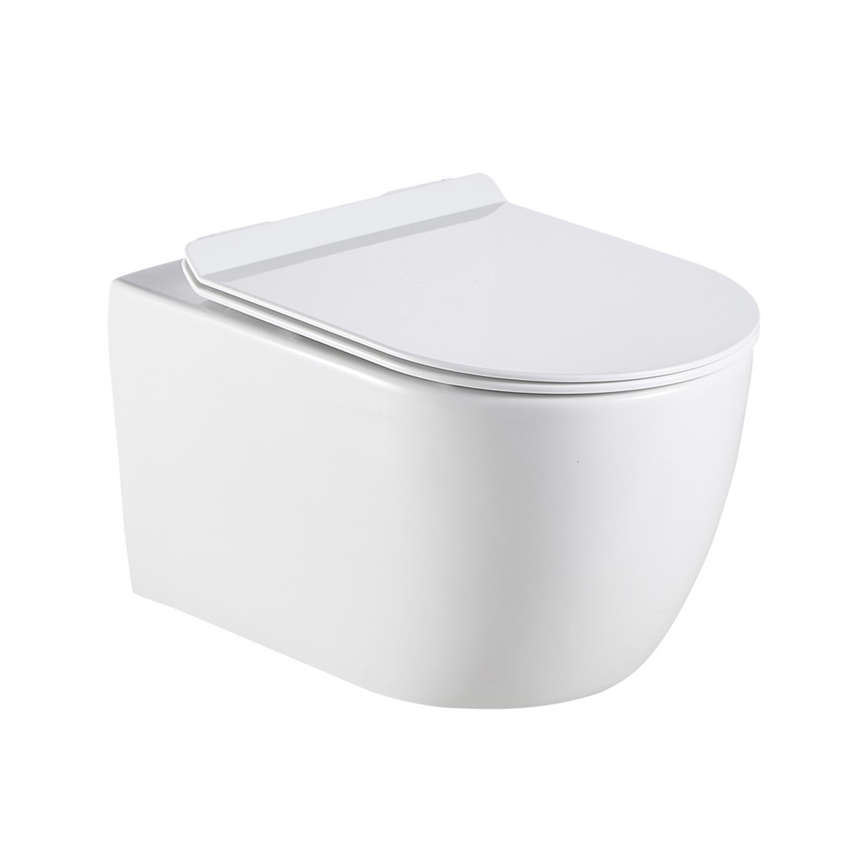 Remo Rimless Wall Hung Toilet & Soft Close Seat
